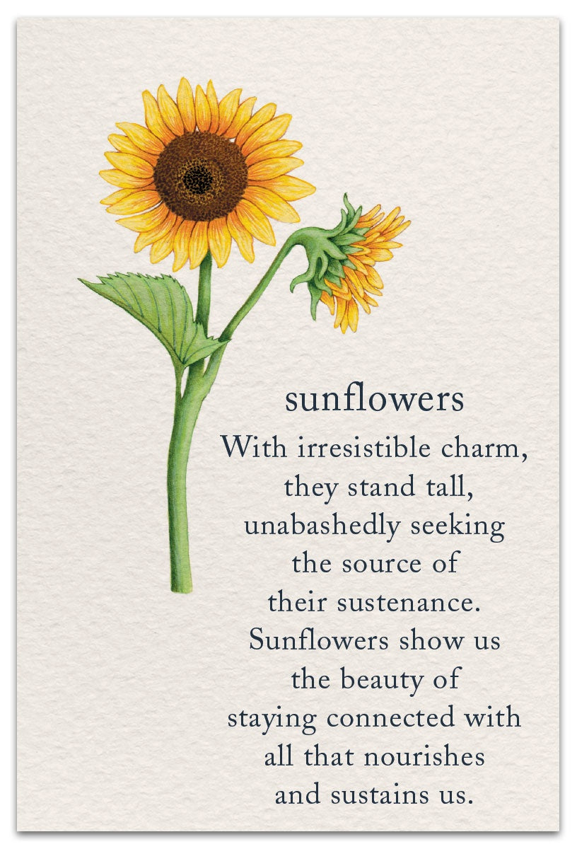 Sunflowers Birthday Card 1412 Sunflowers Birthday Card 1412