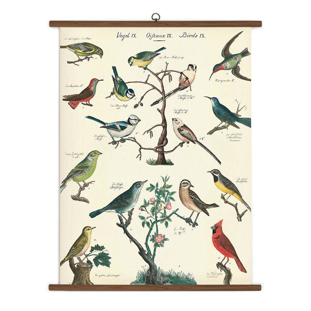 9781635441192 Bird 9781635441192 Bird