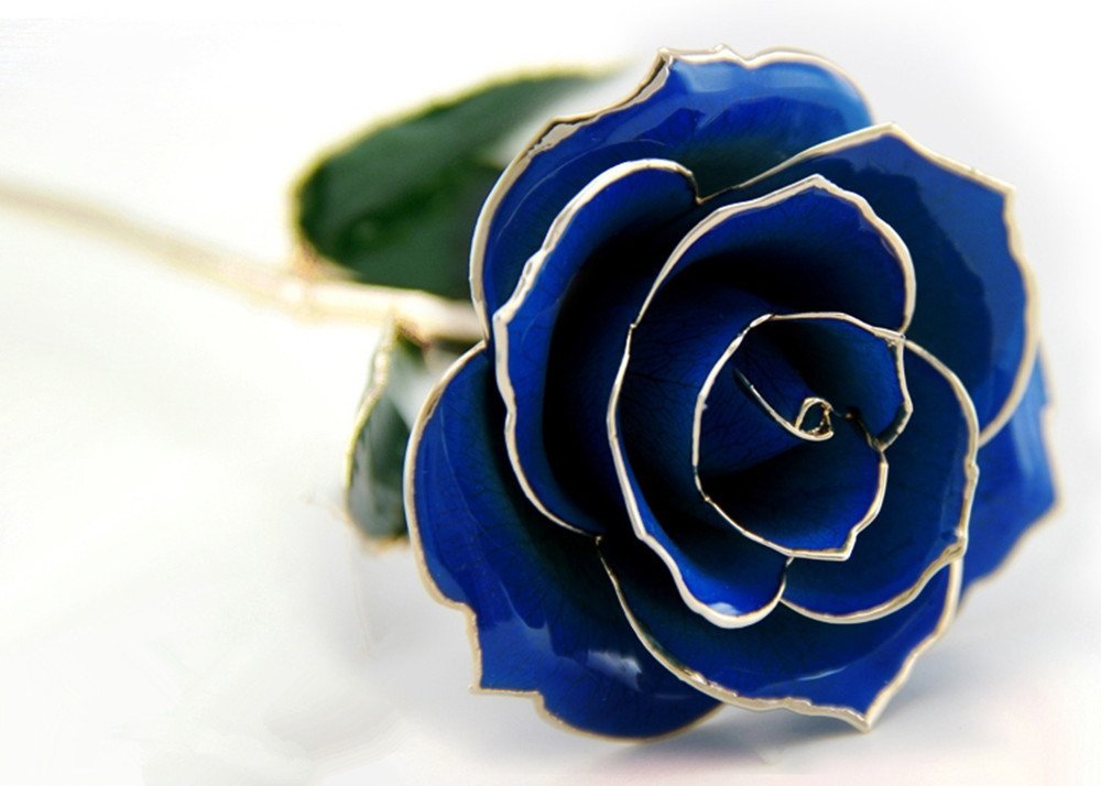 ROYAL BLUE 24-KARAT GOLD-DIPPED ROSE (FULL BLOOM) ROYAL BLUE 24-KARAT GOLD-DIPPED ROSE (FULL BLOOM)