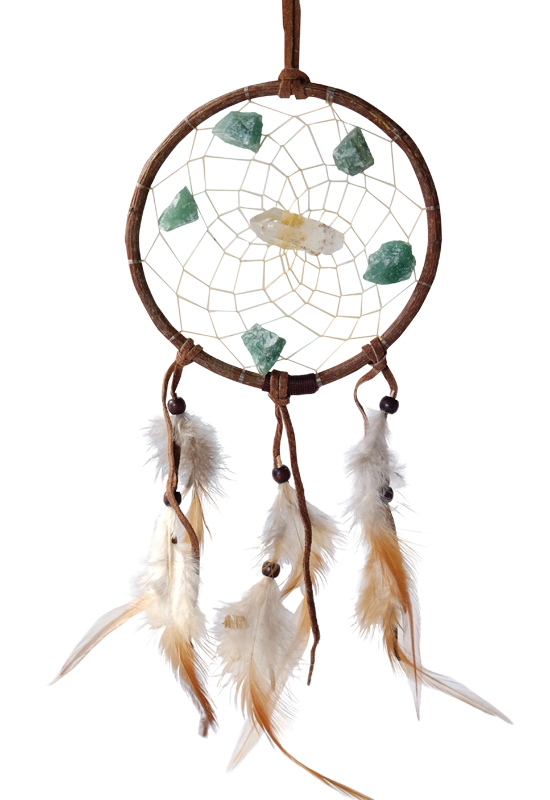 Twig Vision Seeker Dream Catcher Twig Vision Seeker Dream Catcher