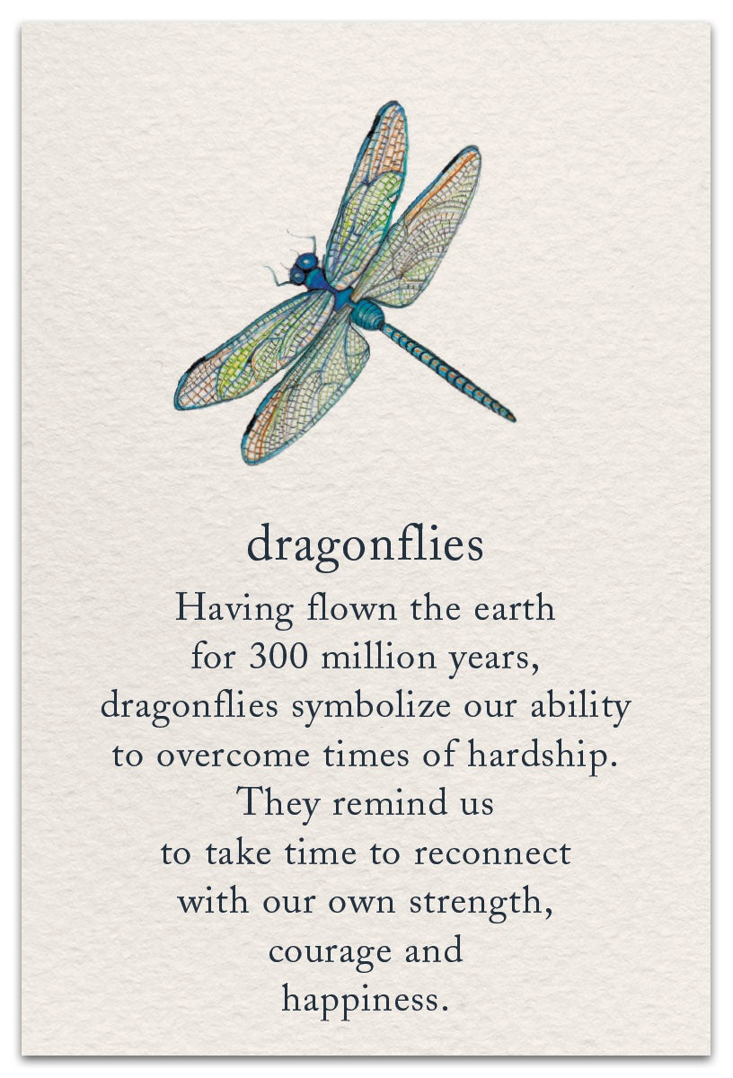 Dragonfly Card- 1214 Dragonfly Card- 1214