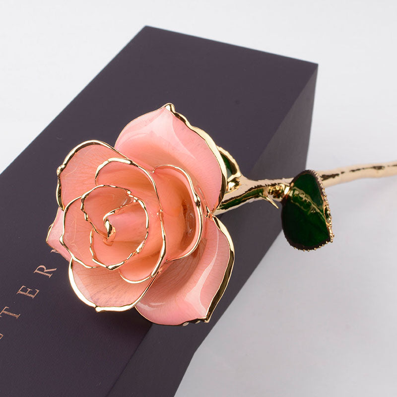 PINK 24-KARAT GOLD-DIPPED ROSE (FULL BLOOM) PINK 24-KARAT GOLD-DIPPED ROSE (FULL BLOOM)