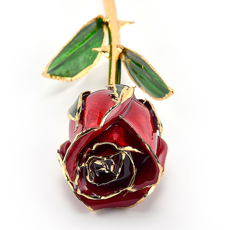 RED 24-KARAT GOLD-DIPPED ROSE (HALF BLOOM) – Journeys Spirited Gifts